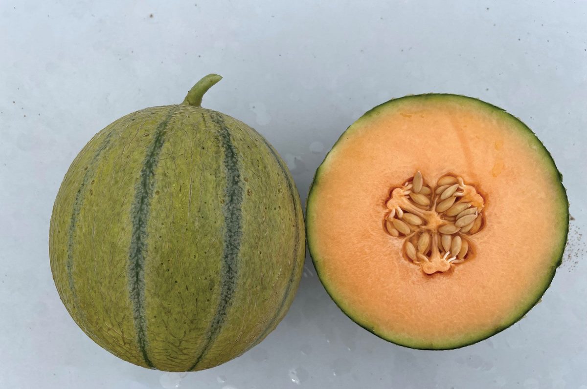 Melonade – Melon Seed